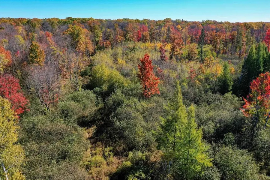 +/-76.79 Acres WELLINGTON LAKE DRIVE, Medford, WI 54451 - Image #2