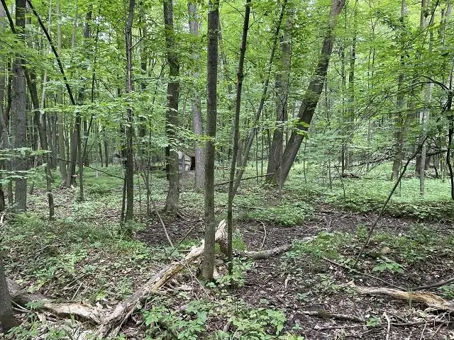 #2
