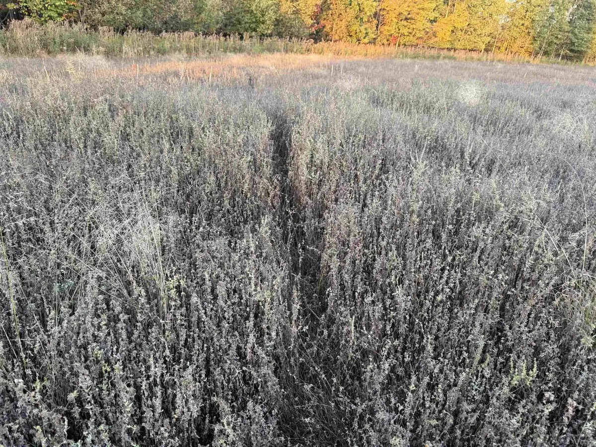 Lot 3 EAU CLAIRE RIVER ROAD, Aniwa, WI 54408 - Image #1