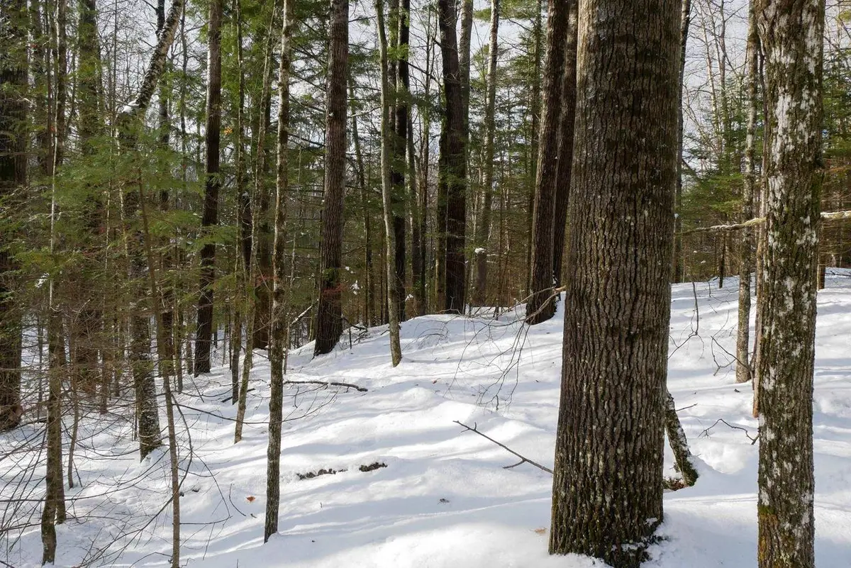 +/-5 Acres SALEM LAKE ROAD, Medford, WI 54451 - #1