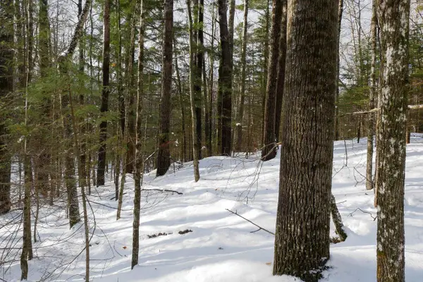 +/-5 Acres SALEM LAKE ROAD, Medford, WI 54451