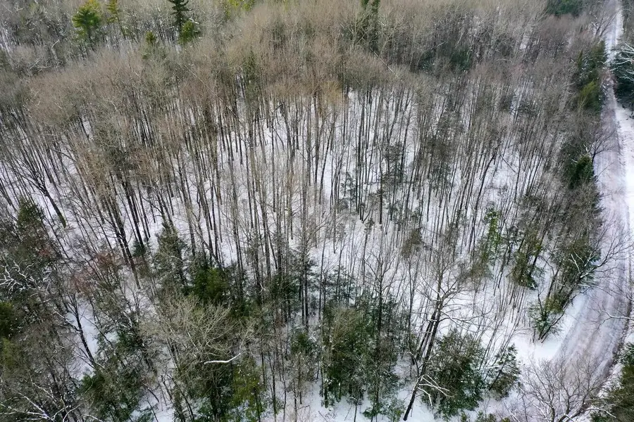 +/-5 Acres SALEM LAKE ROAD, Medford, WI 54451 - #2