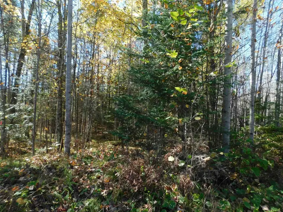 10 Acres GRUNDY ROAD, Irma, WI 54442 - Image #3