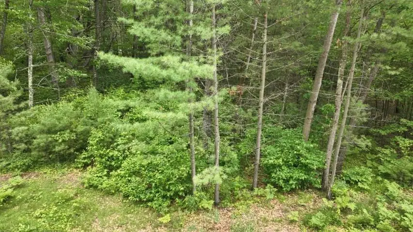 Lots 2 & 3 KAUFMAN ROAD, Tomahawk, WI 54487 - Image #2