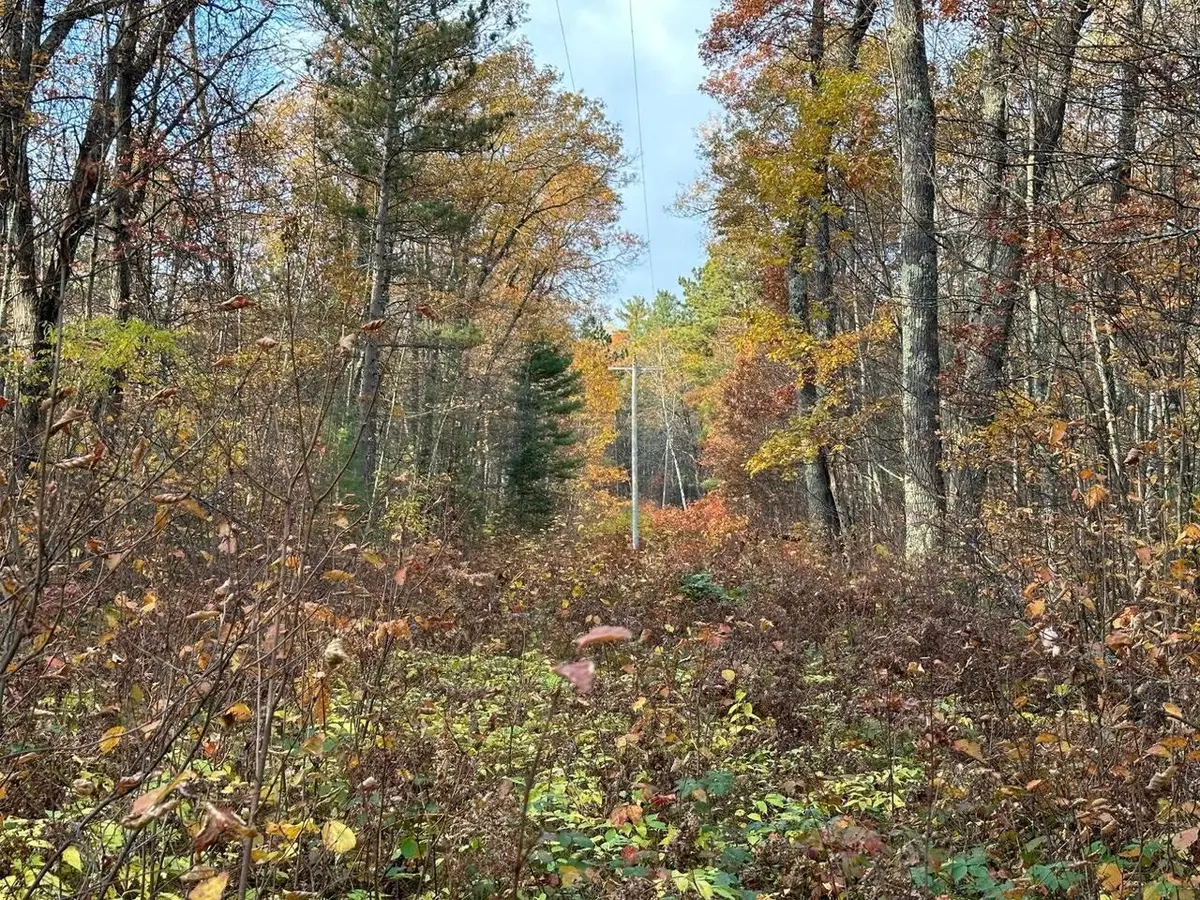 Lot on CTH F, Lac Du Flambeau, WI 54538 - Image #1