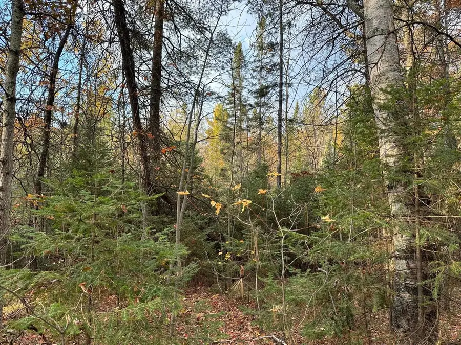 Lot on CTH F, Lac Du Flambeau, WI 54538 - Image #2