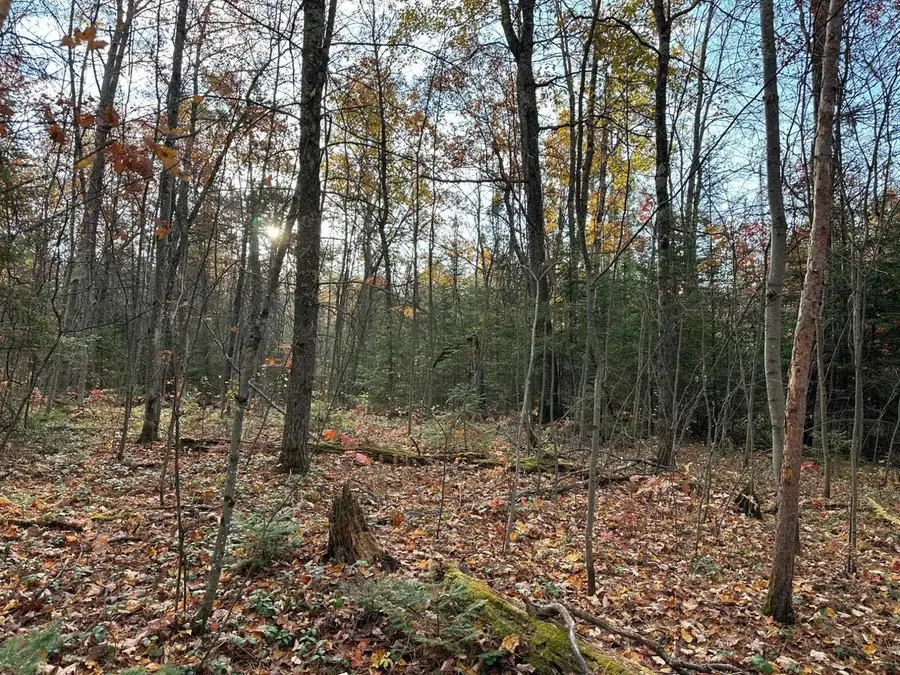 Lot on CTH F, Lac Du Flambeau, WI 54538 - Image #3