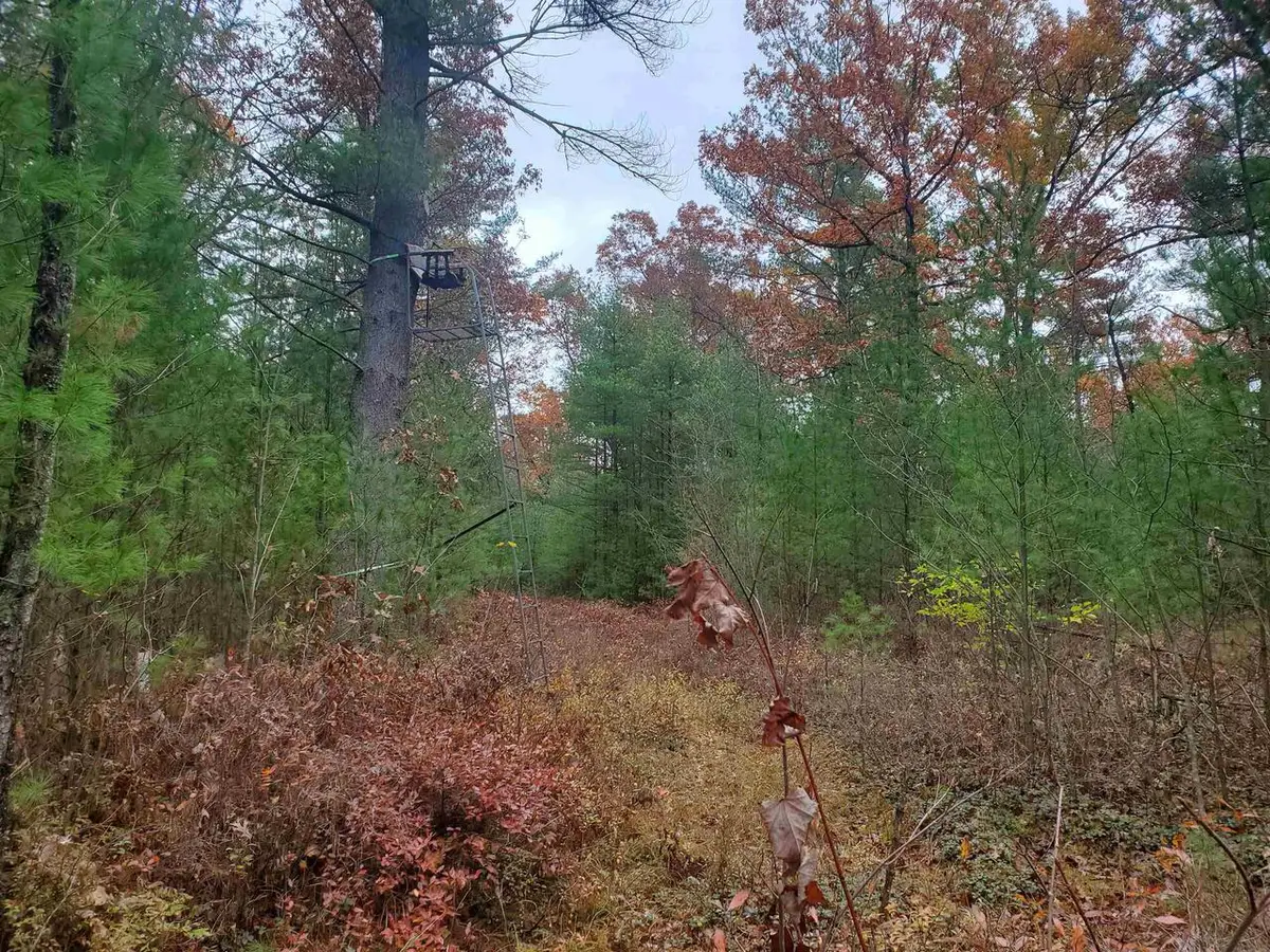 N1150 STERLING AVENUE, Neillsville, WI 54456 - Image #1