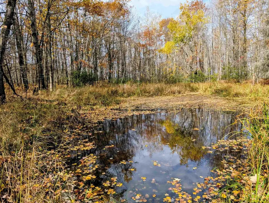 N6499 Thatcher Road, Glen Flora, WI 54526 - Image #3