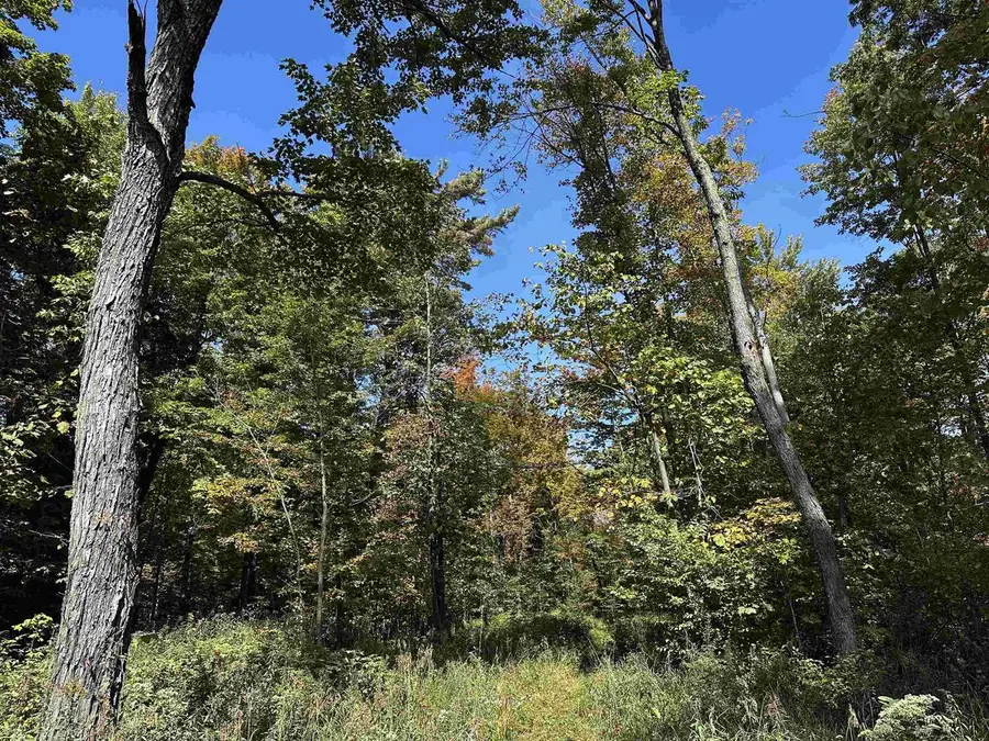 01 HICKORY ROAD, Curtiss, WI 54422 - Image #3