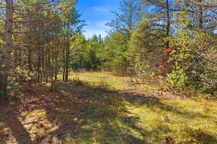 4.22 Acres MOL TOWNLINE ROAD #1800064E, Wisconsin Rapids, WI 54494 - Image #3