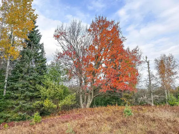 1.62 A Darlaks Bay Lane, Phillips, WI 54555