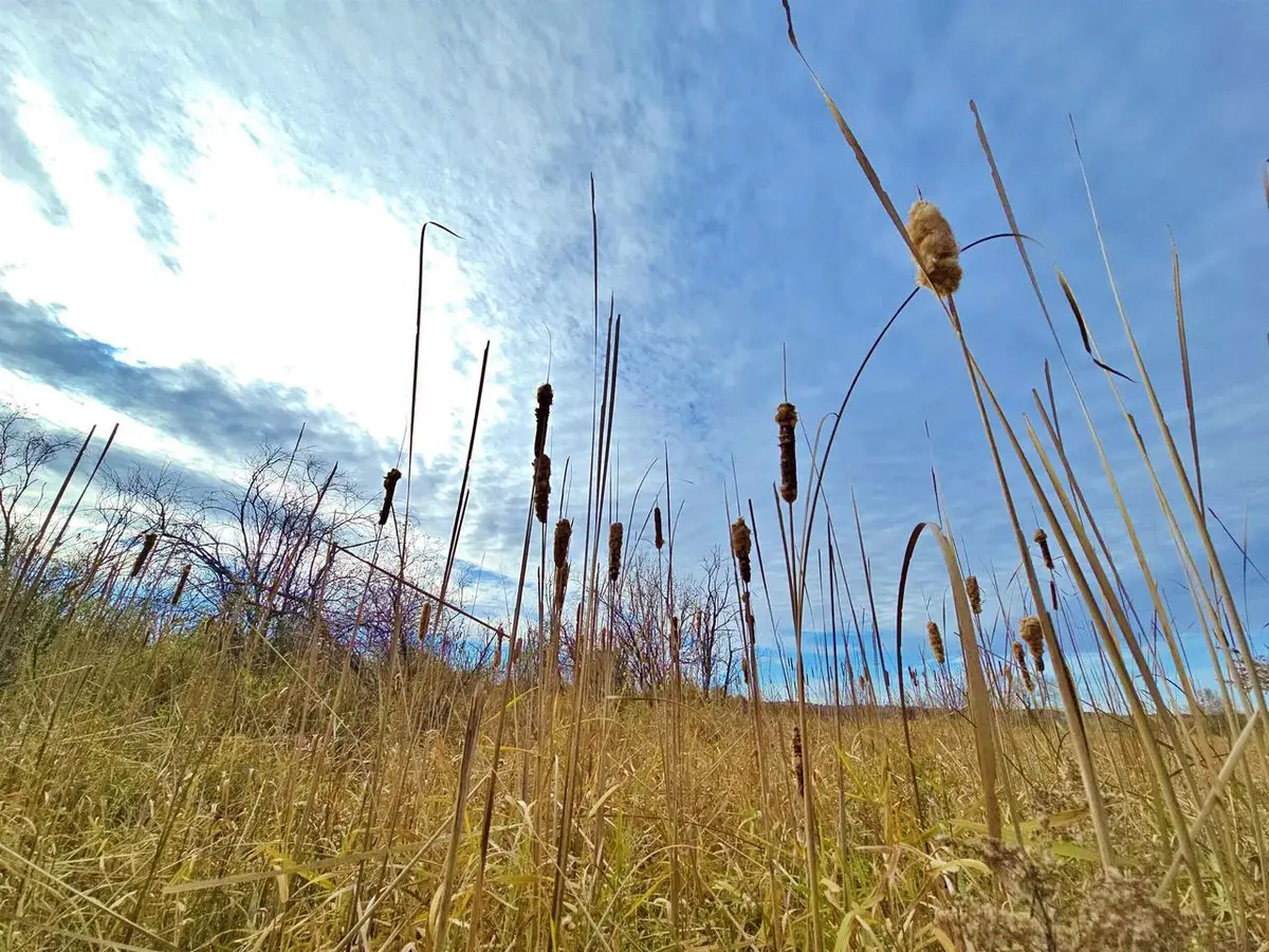 4.89 Acres At N GALVIN AVENUE, Marshfield, WI 54449 - Image #1