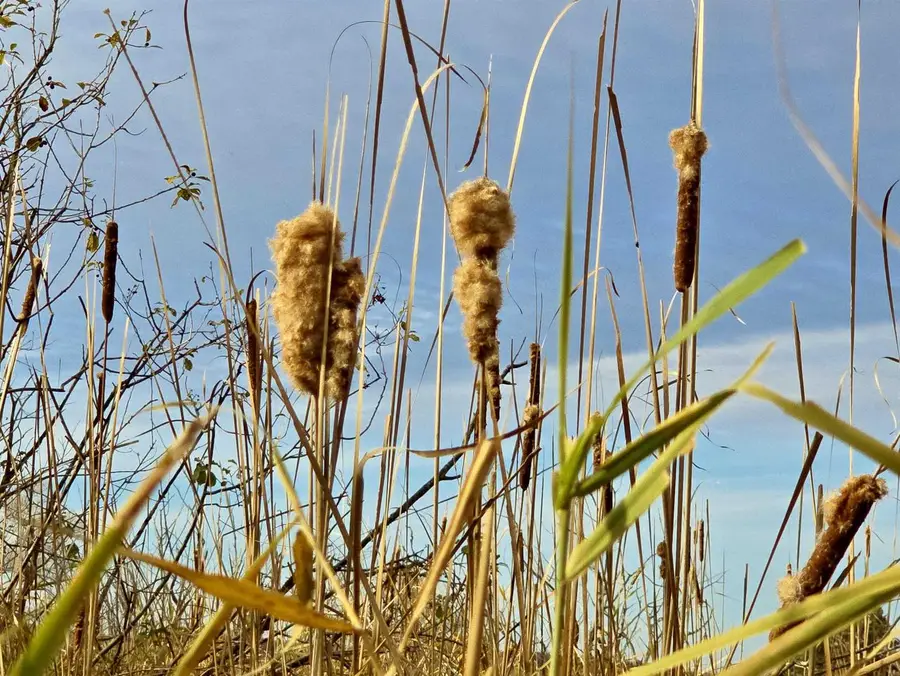 4.89 Acres At N GALVIN AVENUE, Marshfield, WI 54449 - Image #2