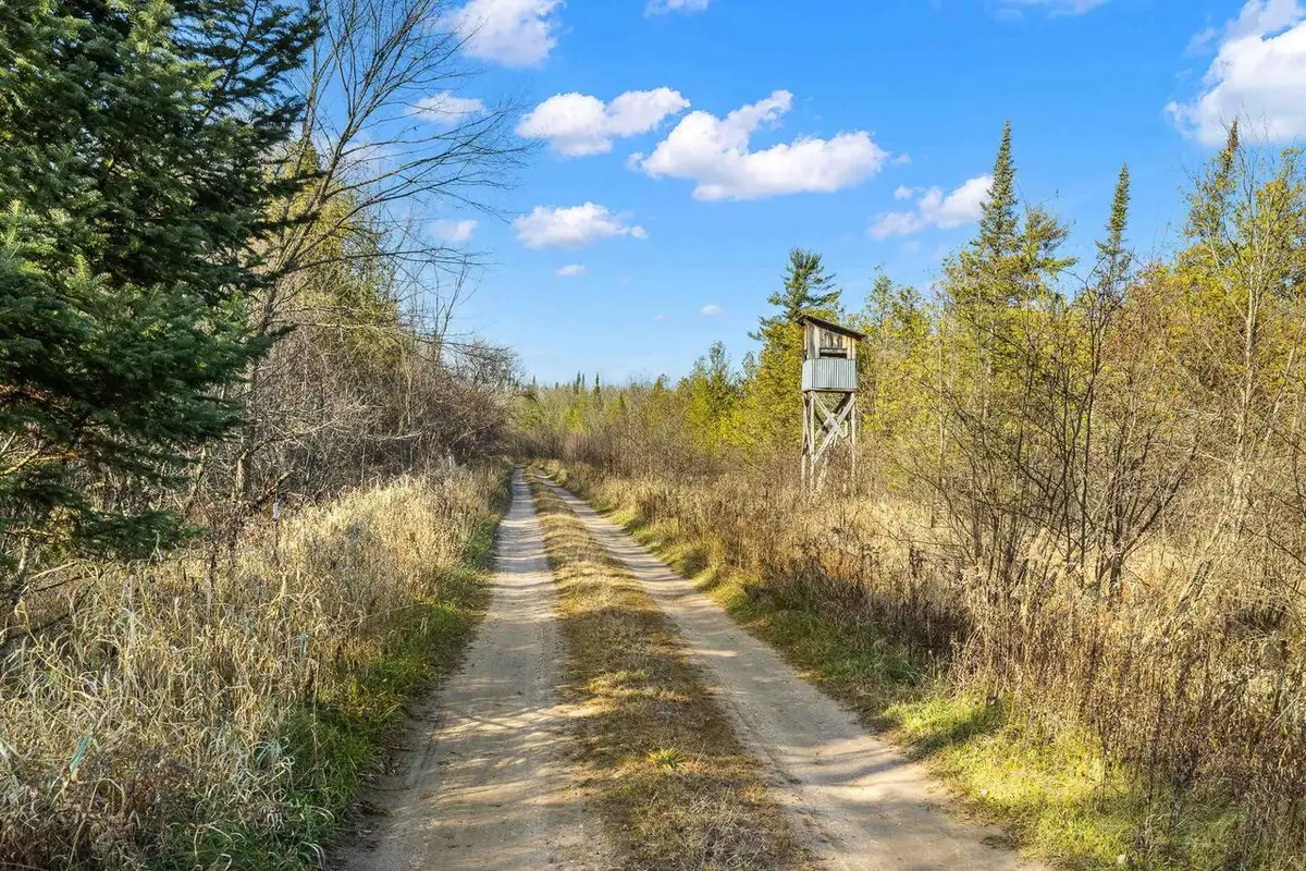Lot 3 MAPLE LANE, Tigerton, WI 54486 - Image #1