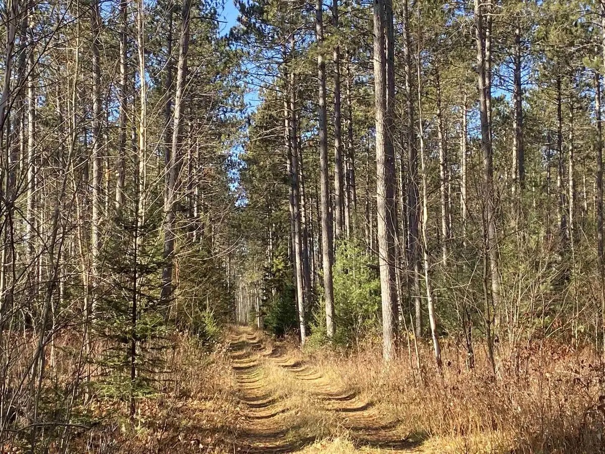 On CTH D, Tomahawk, WI 54487 - Image #1