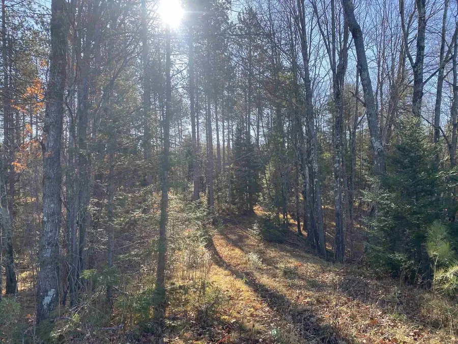 On CTH D, Tomahawk, WI 54487 - Image #3