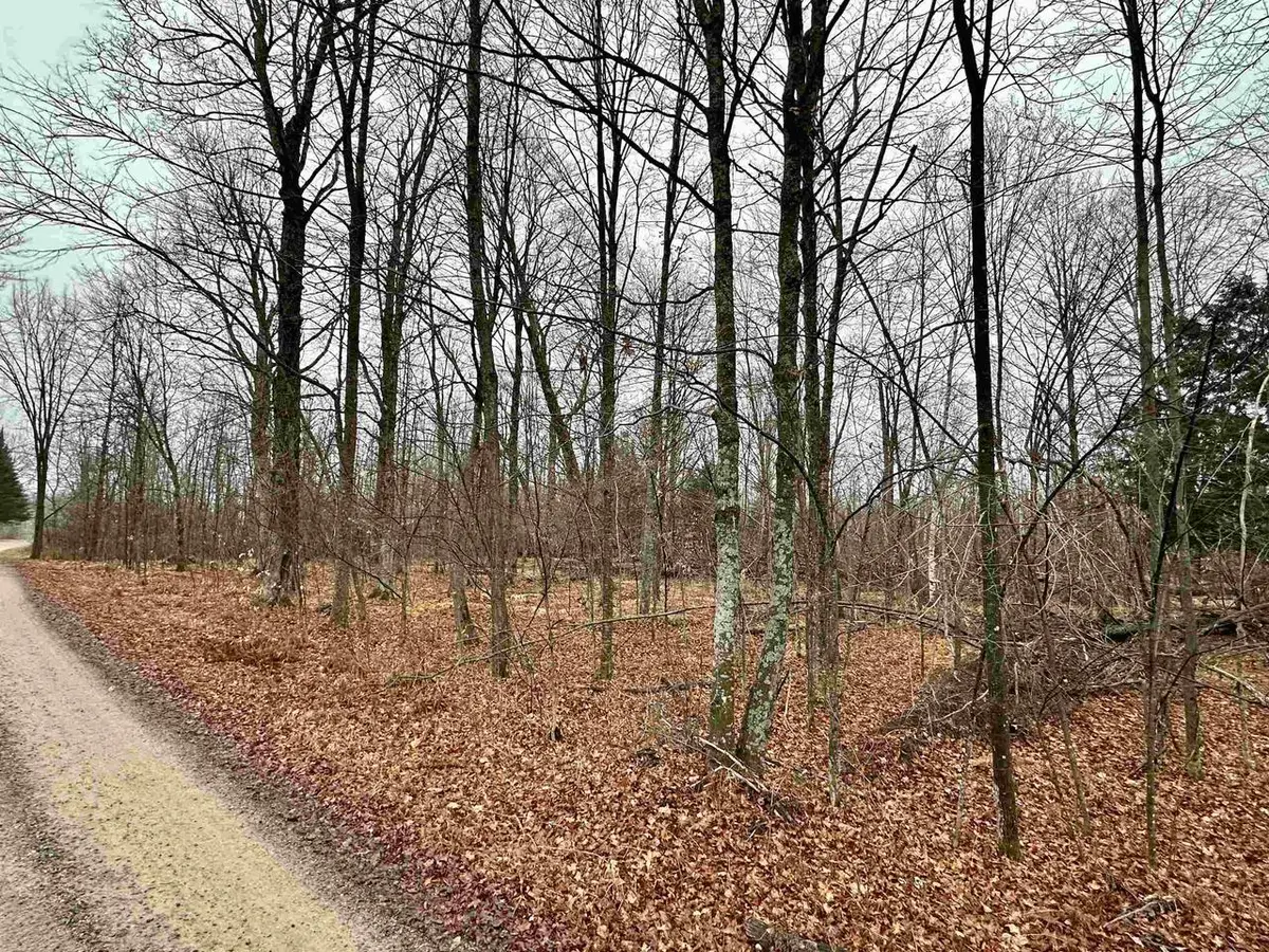 Lot 60 CHIP N DALE DRIVE, Pickerel, WI 54465 - Image #1