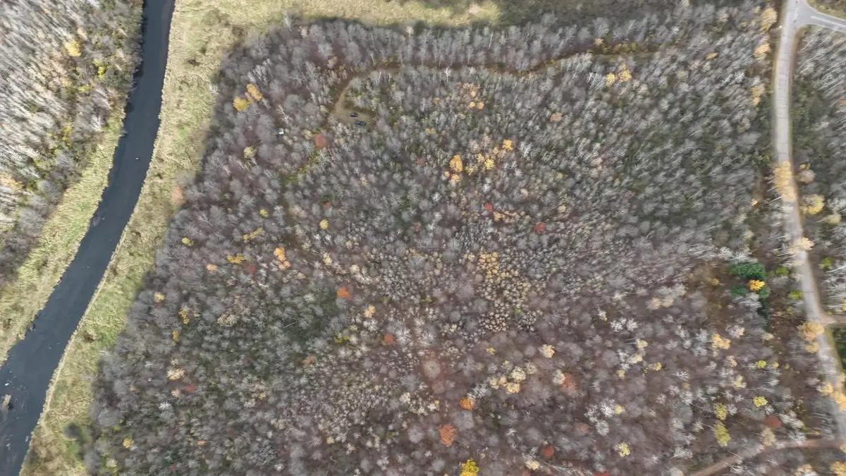 20 Acres OLD STATE HIGHWAY 17, Gleason, WI 54435 - Image #1