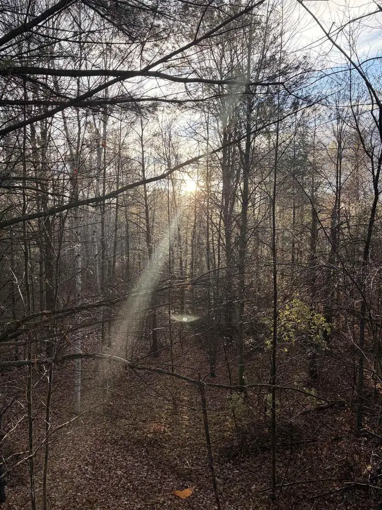 63 Acres BERANEK ROAD, Kronenwetter, WI 54455 - Image #1