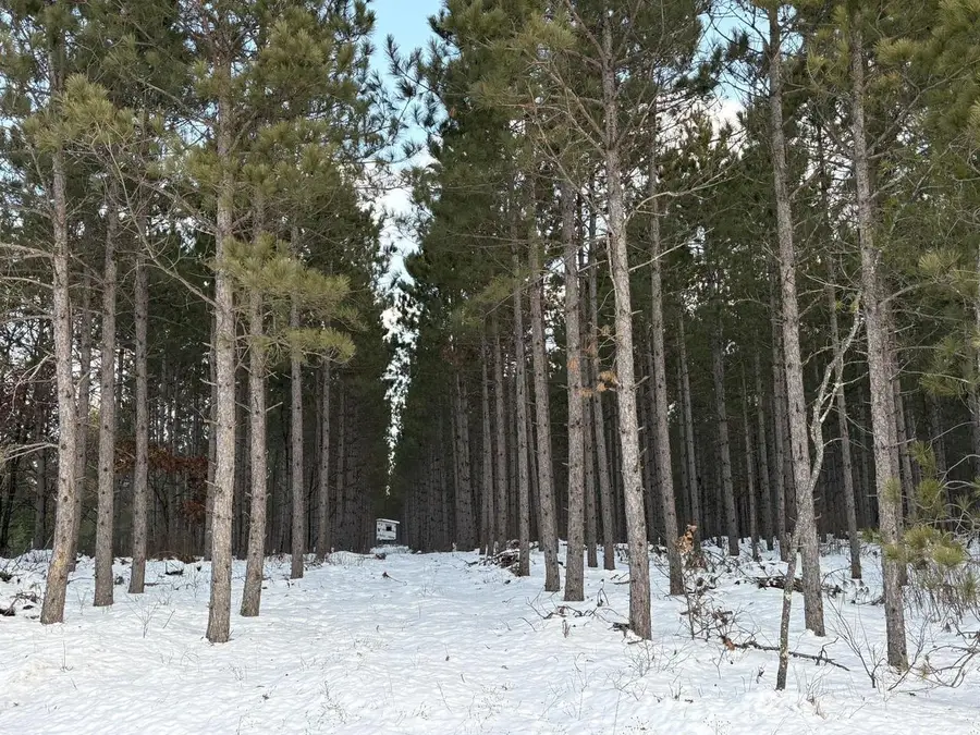 West 10 Acres WILDERNESS LANE, Wisconsin Rapids, WI 54494 - Image #3