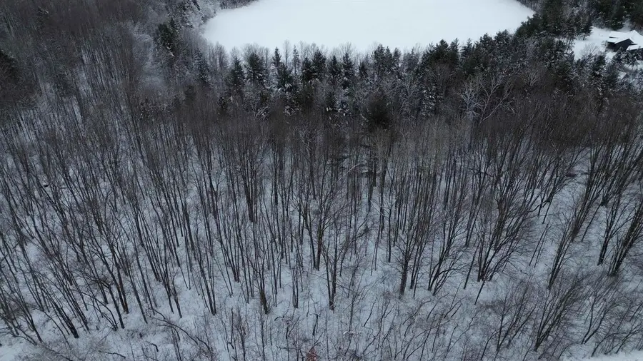 Lot 4 PARROT BAY LANE, Mosinee, WI 54455 - Image #3