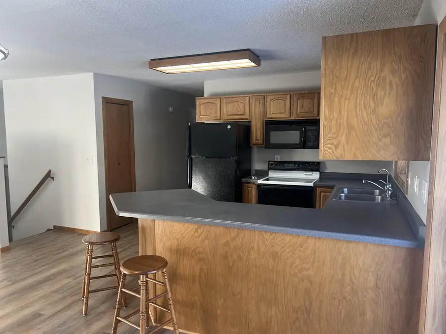 1317 MINK ROAD, Mosinee, WI 54455 - Image #3