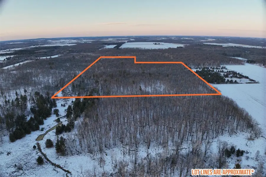 65.32 acres BOBWHITE ROAD, Neillsville, WI 54456 - Image #2