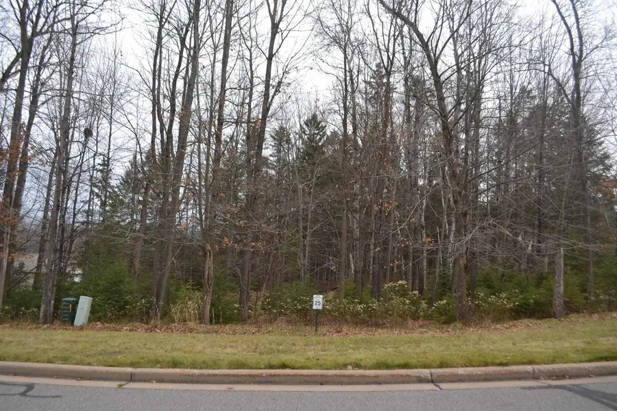 Lot #25 DEER TAIL LANE, Wausau, WI 54401 - Image #3