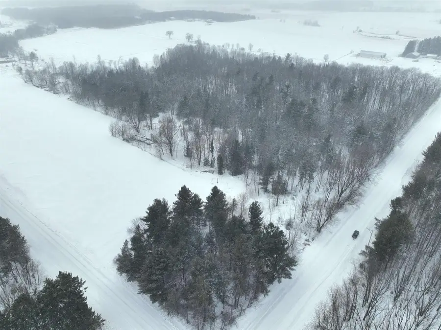 39 Acres ALPINE ROAD, Marathon, WI 54448 - #3