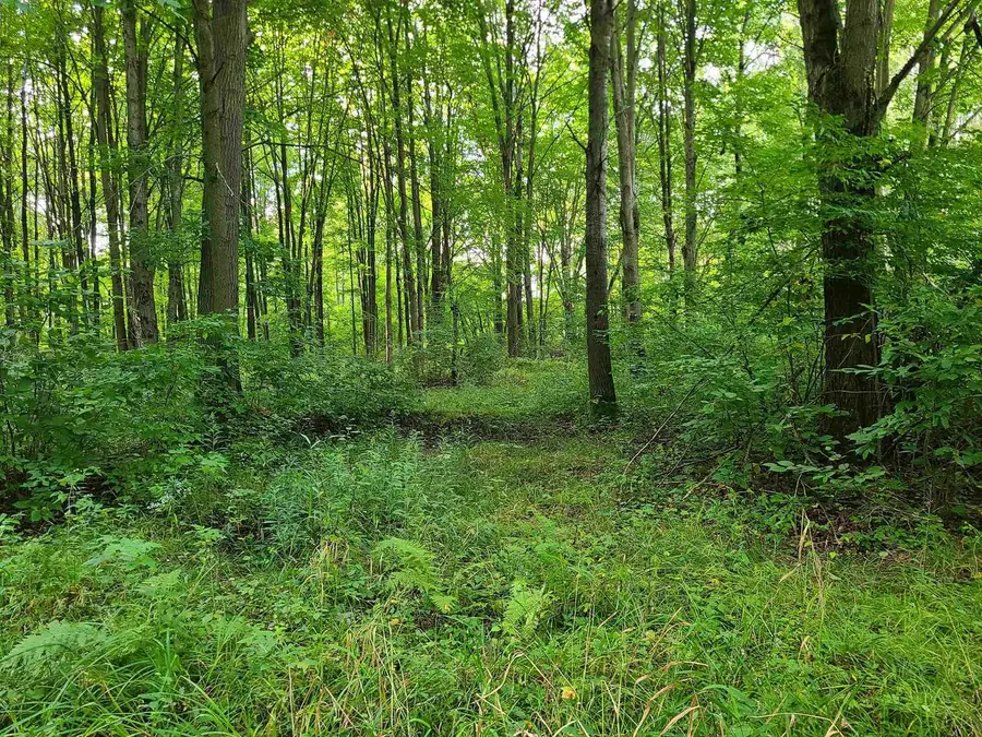 239095 DAWSON ROAD, Athens, WI 54411 - #2