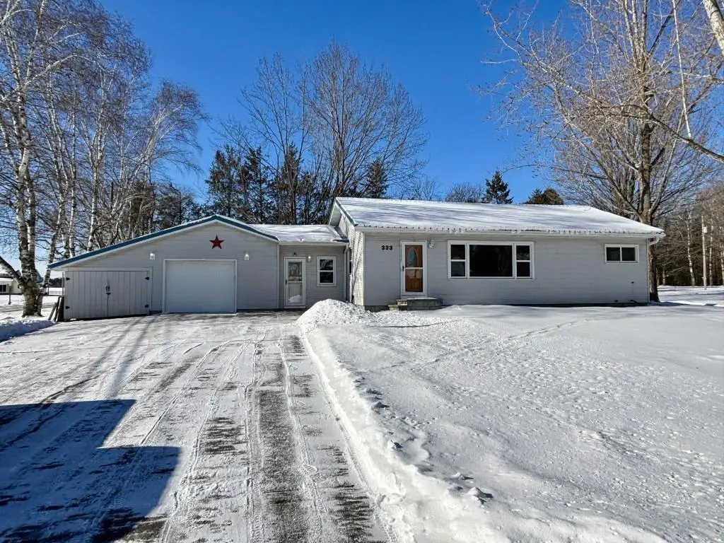 333 WESTERN AVENUE, Birnamwood, WI 54414 - #1