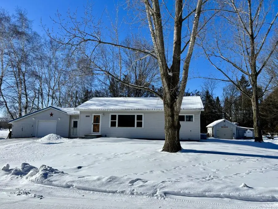 333 WESTERN AVENUE, Birnamwood, WI 54414 - #2