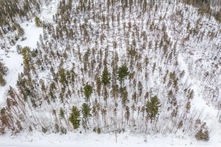 38.92 Acres COUNTY ROAD L, Athens, WI 54411 - #2