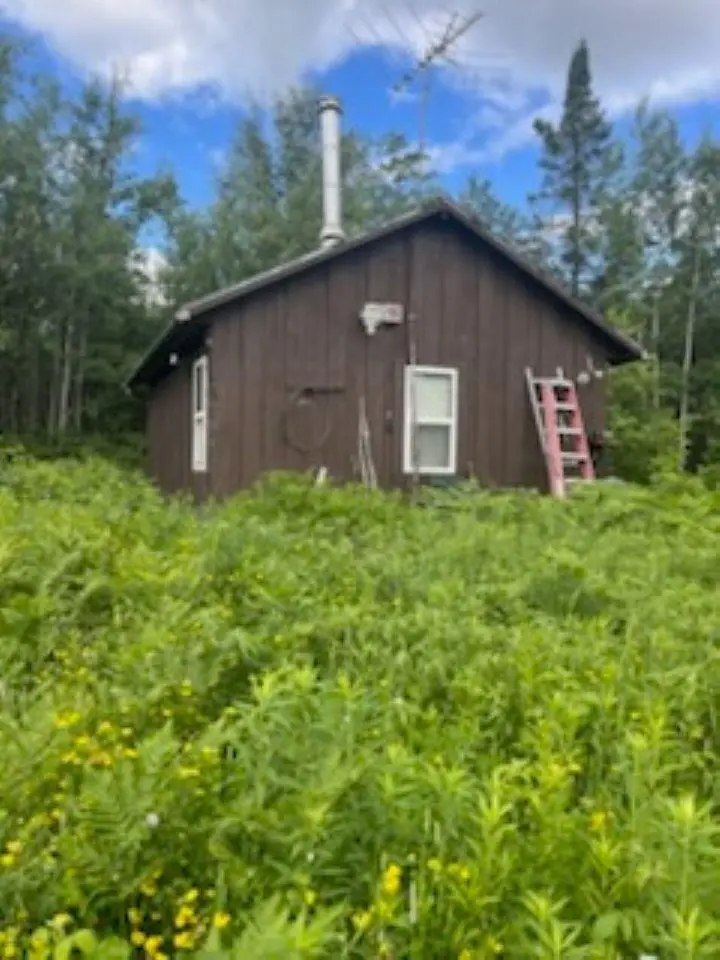 LEACH ROAD, Irma, WI 54442 - #1