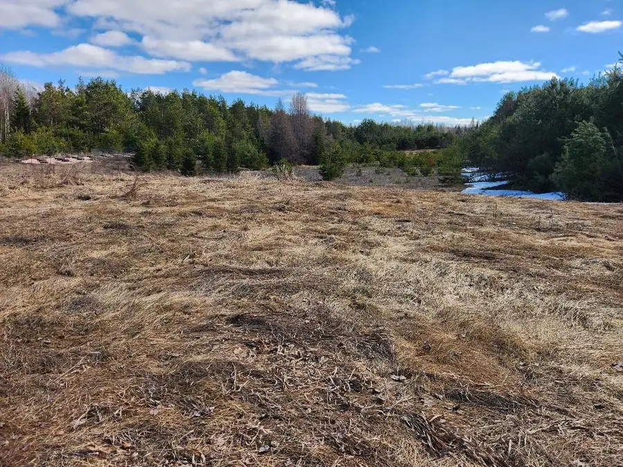 LEACH ROAD, Irma, WI 54442 - #2