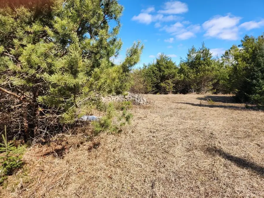 LEACH ROAD, Irma, WI 54442 - #3