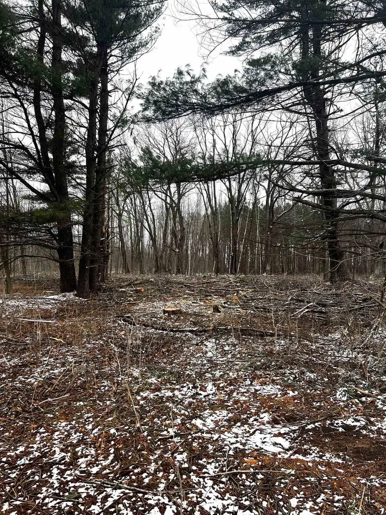 MOUNT VISTA ROAD, Mosinee, WI 54455 - #1