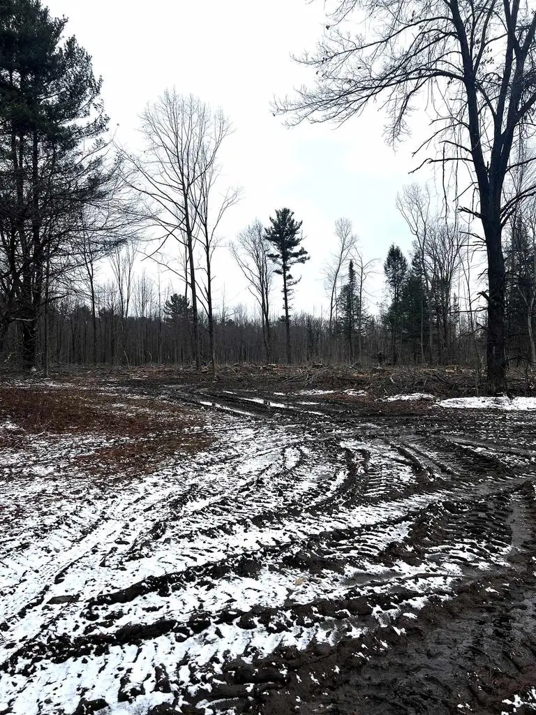 MOUNT VISTA ROAD, Mosinee, WI 54455 - #2