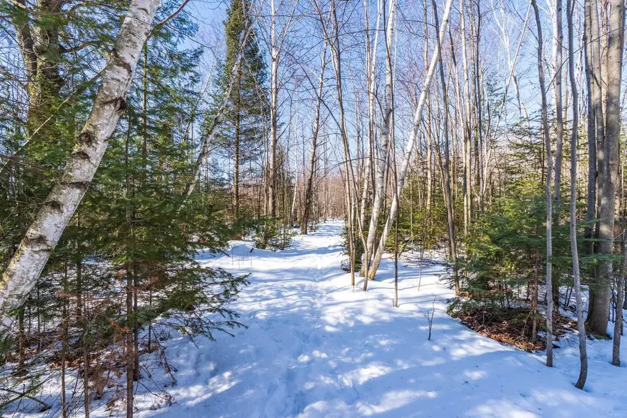 18.28 Acres SOUTH ROAD, Mosinee, WI 54455 - #3