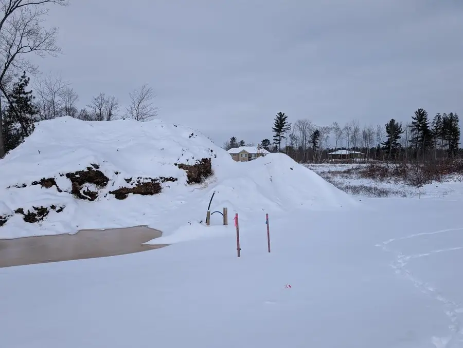 Lot 56 HERON HAVEN COURT, Biron, WI 54494 - #3