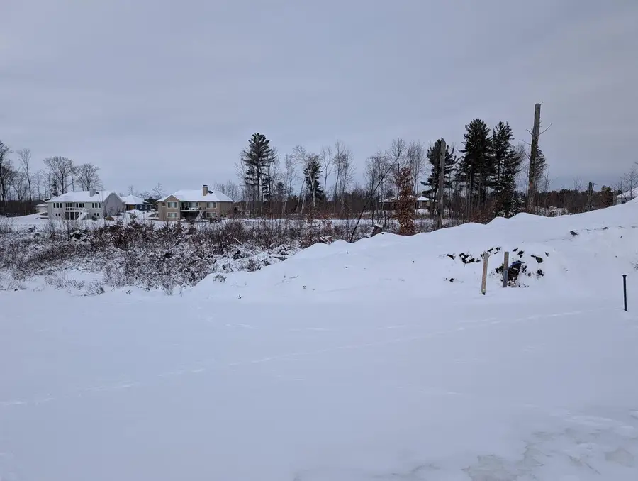 Lot 58 HERON HAVEN COURT, Biron, WI 54494 - #3