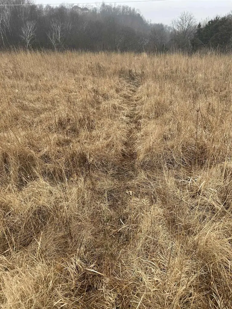 3707 S ECKART STREET, Genoa, WI 54632 - #3