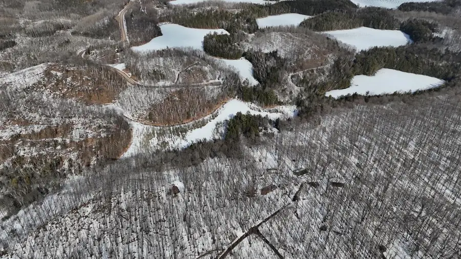 W1438 Country Squire Road, Gleason, WI 54435 - #2