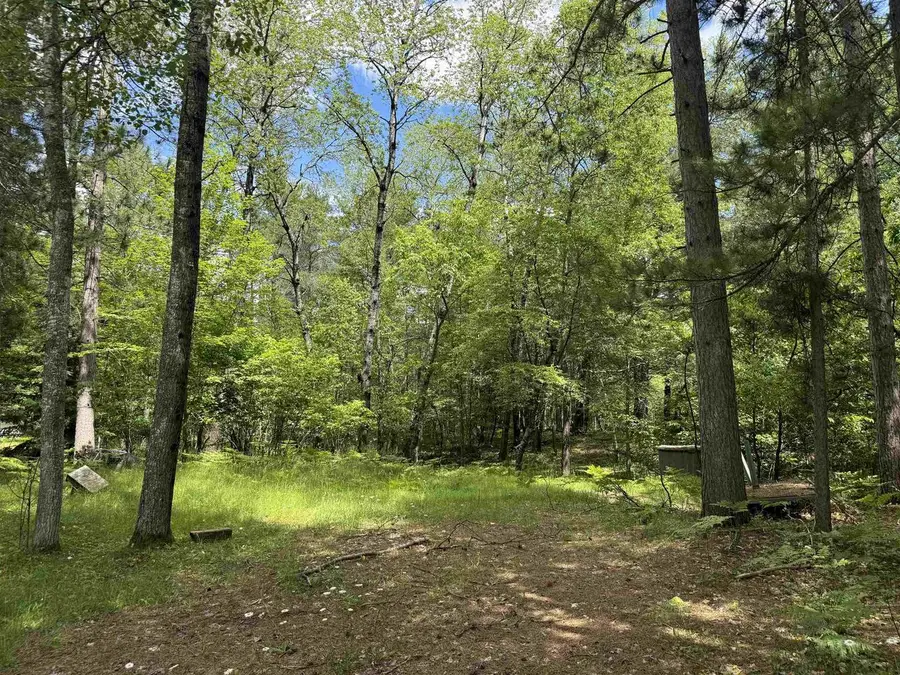 11674 SHERWOOD LANE, Woodruff, WI 54568 - #2