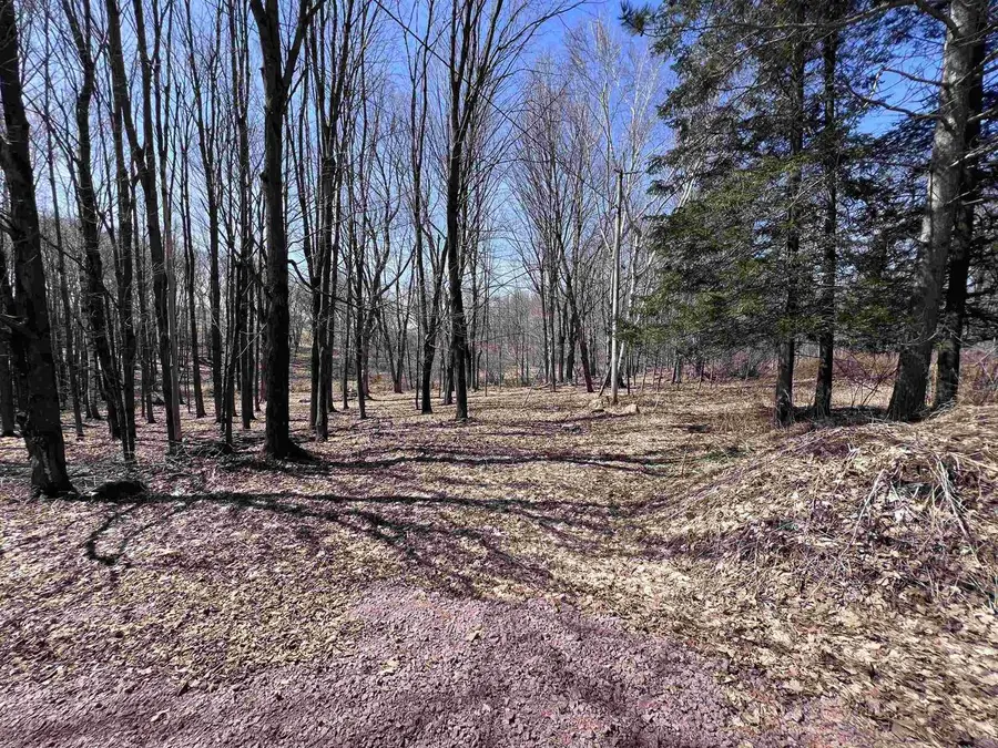 CANYON ROAD, Wausau, WI 54403 - #2