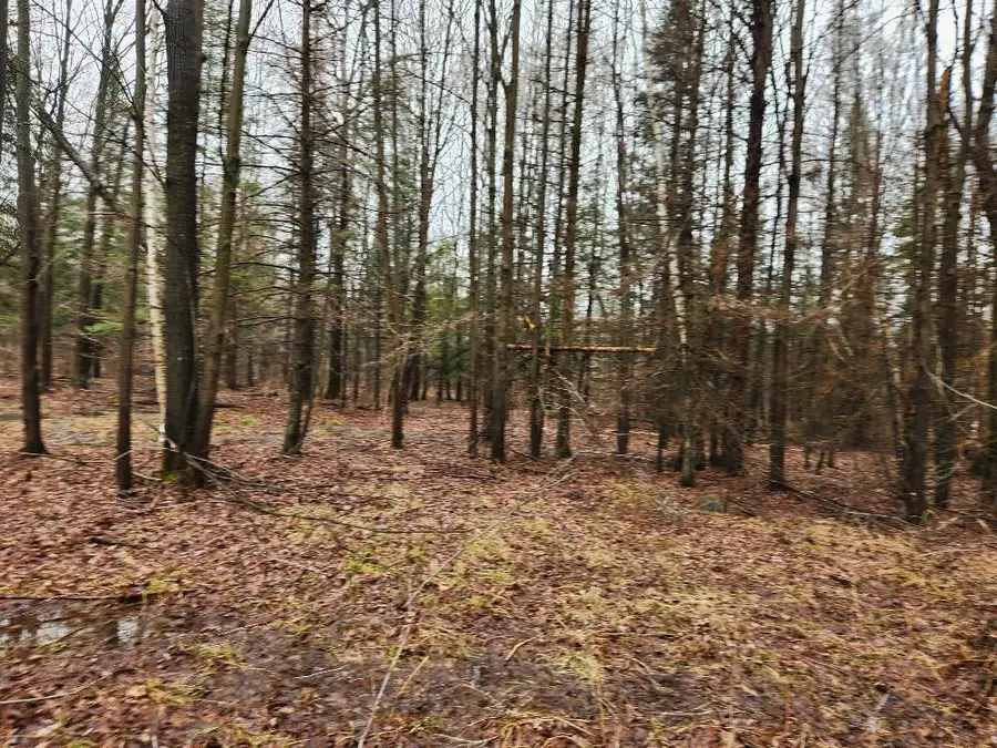 W10582 CARPENTER ROAD, Tripoli, WI 54564 - #3