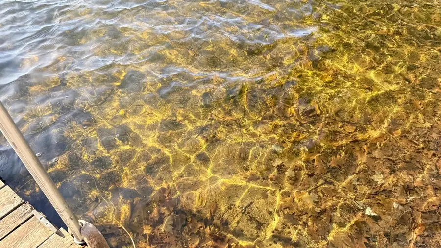 W1007 SEVEN ISLAND LAKE DRIVE, Gleason, WI 54435 - #3