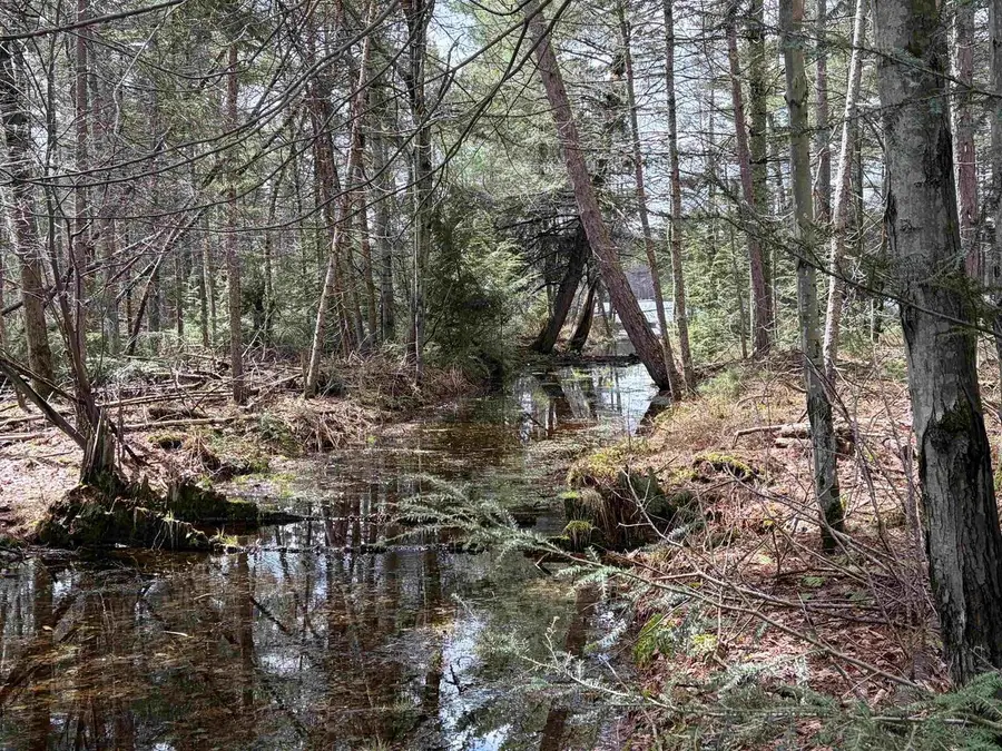 ON WHISPERING PINES DRIVE, Tomahawk, WI 54487 - #3