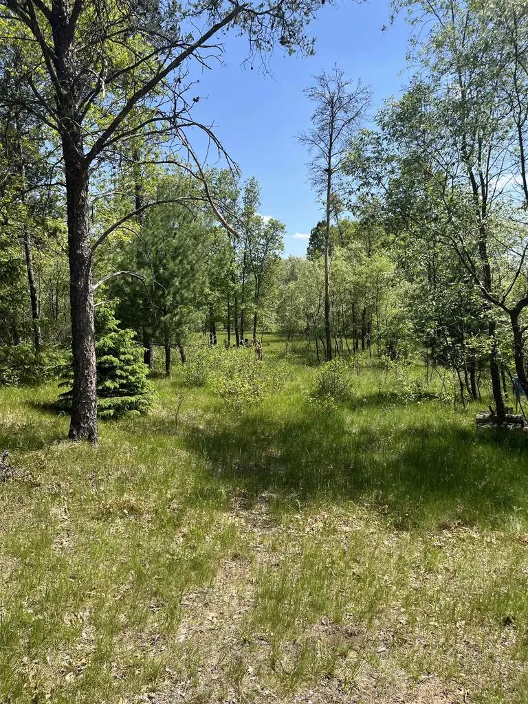 1047 ARCHERS WAY, Nekoosa, WI 54457 - #1